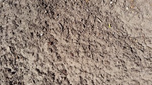 dirt